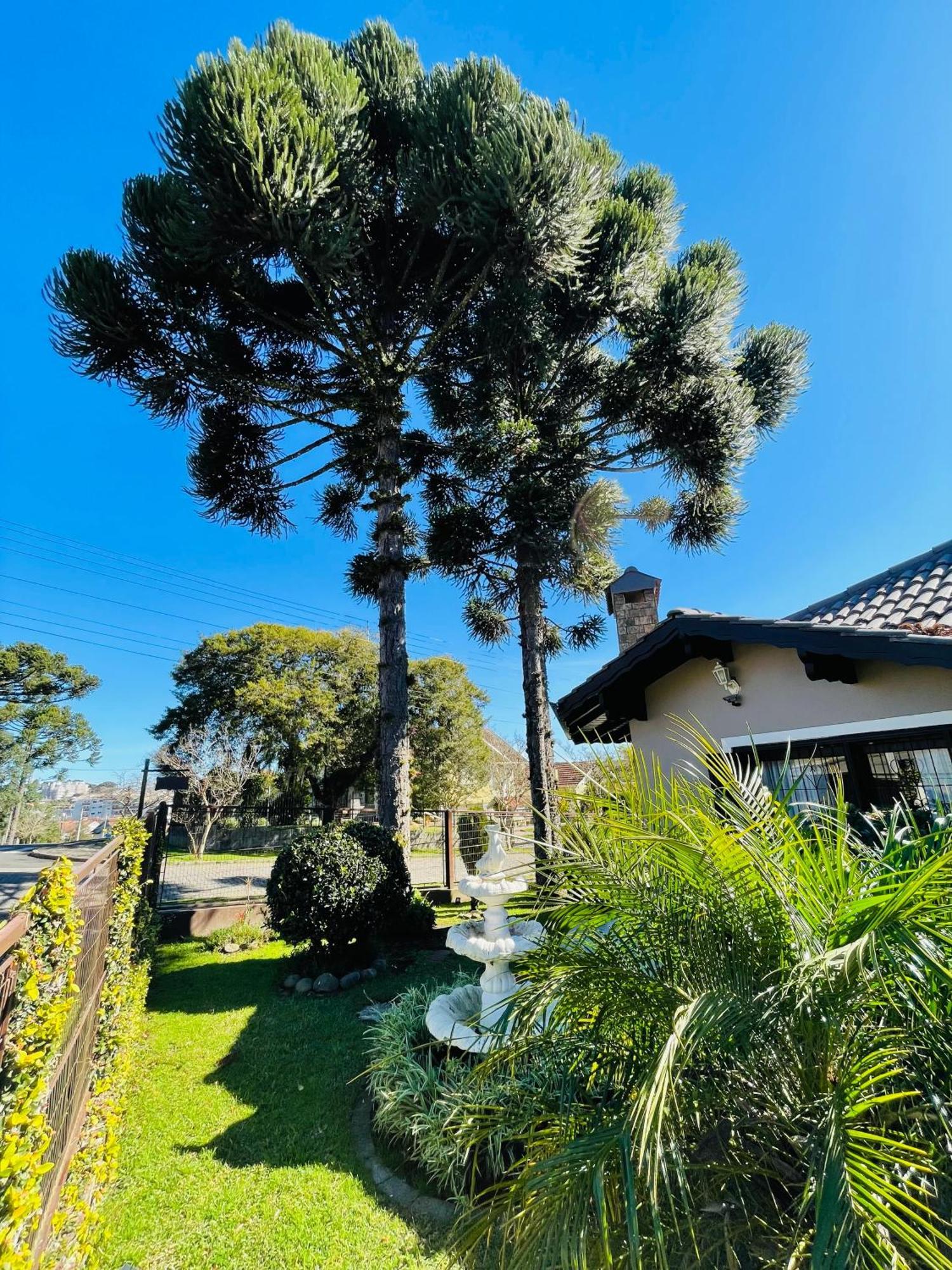Residencial Pine House Canela Exterior photo